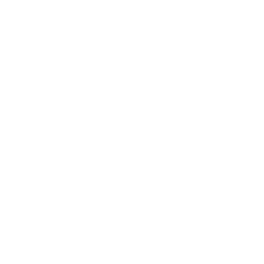 LOGO Christophe PAULY